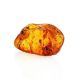Amber Souvenir Stone With Inclusions, image 