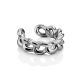 Trendy Chain Motif Silver Ear Cuff The ICONIC, image , picture 3