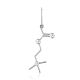 Silver Acetylcholine Molecule Mono Earring Hippocrates, image 