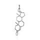 Silver Testosterone Molecule Pendant Hippocrates, image 