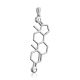 Silver Testosterone Molecule Pendant Hippocrates, image , picture 4