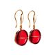 Ultra Feminine Gold Amber Hook Earrings The Sangria, image 