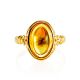 Amber Ring With Insect Inclusions The Clio, Ring Size: Adjustable, image , picture 3