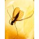 Amber Ring With Insect Inclusions The Clio, Ring Size: Adjustable, image , picture 4