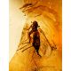 Amber Gold Plated Ring With Inclusions The Clio, Ring Size: Adjustable, image , picture 4
