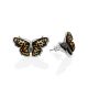 Butterfly Design Amber Stud Earrings, image 