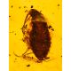 Organic Shape Amber With Fossil Insects Pendant The Clio Collection, image , picture 2