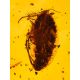 Organic Shape Amber With Fossil Insects Pendant The Clio Collection, image , picture 3