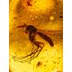 Stylish Amber With Fossil Mosquito Ring The Clio, Ring Size: Adjustable, image , picture 4
