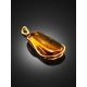 Fabulous Gilded Silver Amber Pendant The Clio, image , picture 3