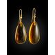Natural Amber With Fossil Insects Drop Earrings The Clio, image , picture 6