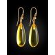 Boho Style Amber With Fossil Insects Drop Earrings The Clio, image , picture 6
