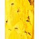 One Of A Kind Amber With Fossil Insect Pendant The Clio, image , picture 3
