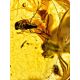 Luminous Gold Amber Ring The Clio, Ring Size: 6.5 / 17, image , picture 5