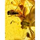 Luminous Gold Amber Ring The Clio, Ring Size: 6.5 / 17, image , picture 5