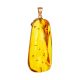 One Of A Kind Amber With Fossil Insect Pendant The Clio, image 