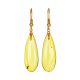 Refined Amber With Fossil Insects Drop Earrings The Clio, image 