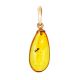 Lustrous Amber With Fossil Insect Pendant The Clio, image 
