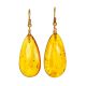 Natural Amber With Fossil Insects Drop Earrings The Clio, image 