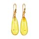 Boho Style Amber With Fossil Insects Drop Earrings The Clio, image 