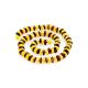 Two Tone Amber Beaded Necklace, image , picture 4