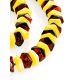 Two Tone Amber Beaded Necklace, image , picture 3