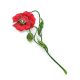Colorful Poppy Flower Enamel Brooch, image , picture 5