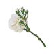 Ultra Feminine White Rose Brooch, image , picture 5