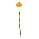 Bright Yellow Pond Lily Enamel Brooch, image 