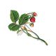 Wild Strawberry Flower Enamel Brooch, image , picture 5