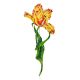 Fabulous Tulip Flower Enamel Brooch, image 