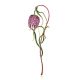 Fritillary Flower Enamel Brooch The Herbarium, image 