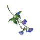 Geranium Flower Enamel Brooch, image , picture 5