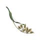 Refined Canary Grass Motif Enamel Brooch, image , picture 5