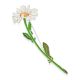 Wonderful Designer Daisy Flower Brooch With Enamel, image , picture 5