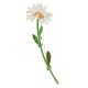Wonderful Designer Daisy Flower Brooch With Enamel, image 