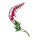 Bleeding Heart Flower With Enamel, image 
