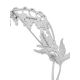 Bleeding Heart Flower With Enamel, image , picture 4