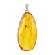 Drop Amber Pendant In Sterling Silver With Inclusions The Clio, image 
