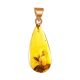Drop Amber Pendant In Gold With Inclusion The Clio, image 