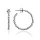 Fabulous Beaded Hoop Earrings The Sparkling, image 