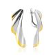 Bicolor Feather Motif Earrings, image 