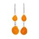Fabulous Amber Earrings, image 