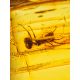 Amber Bracelet With Ant Inclusion, image , picture 4