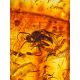 Stunning Dark Amber Cuff Bracelet With Insect Insertion, image , picture 4