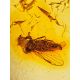 Exclusive Dark Amber Bracelet With Insect, image , picture 4