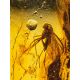 Bold Black Amber Bracelet With Insect, image , picture 4