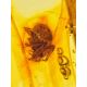 Dark Amber Cuff Bracelet With Insect, image , picture 4