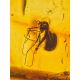 Bold Amber Cuff Bracelet With Insect, image , picture 4