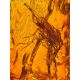 Voluminous Amber With Inclusion Cuff Bracelet, image , picture 3